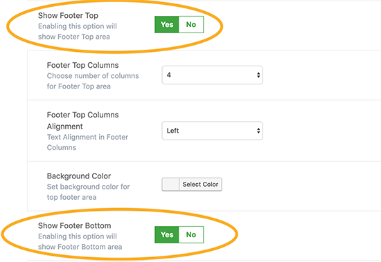 Footer Options 2
